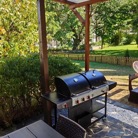 Déjà Vu Cozy Mountain Retreat *