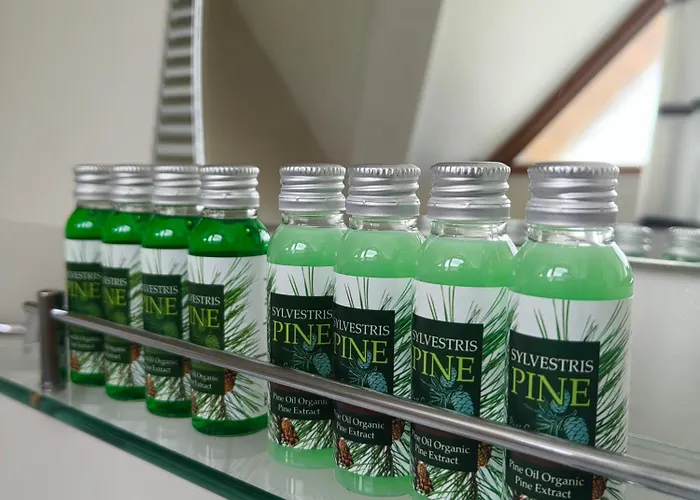 Deja Vu Private Jacuzzi & Sauna, Fireplace, 3 Bedrooms, Near Bansko Villa